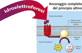 Idroelettroforesi - vantaggi